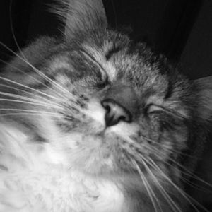 Meet your Posher, Hana